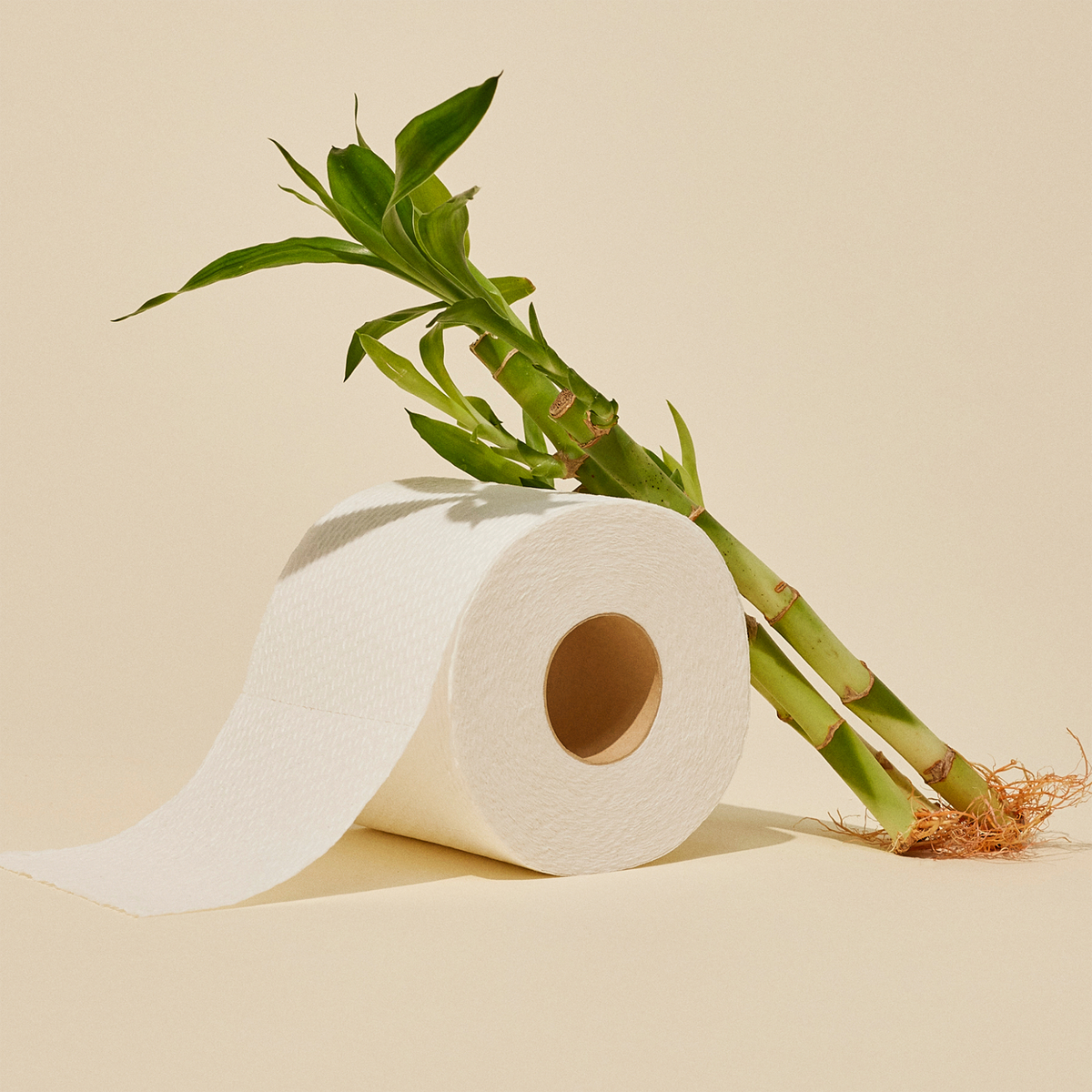Reel Bamboo Toilet Paper (12-ct)
